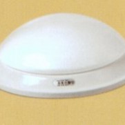 1210两种光源选择（大号 斜边吸顶）