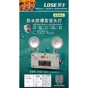 防水防爆型双头灯