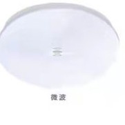 252吸顶灯（微波）