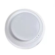 仿烟感型照明灯正发光