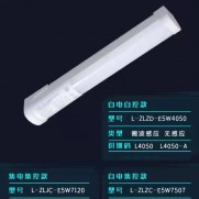 0.3米三防支架灯