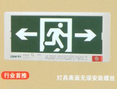 5WDAI白色防火塑料超窄边框 嵌入式