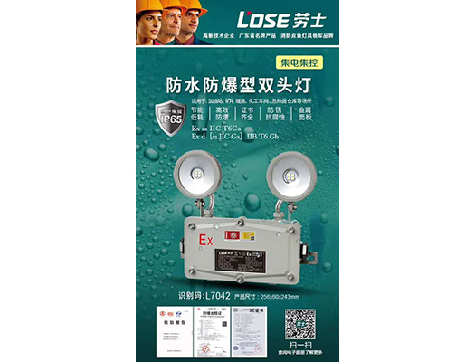 防水防爆型双头灯