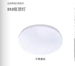 252吸顶灯（不带感应）
